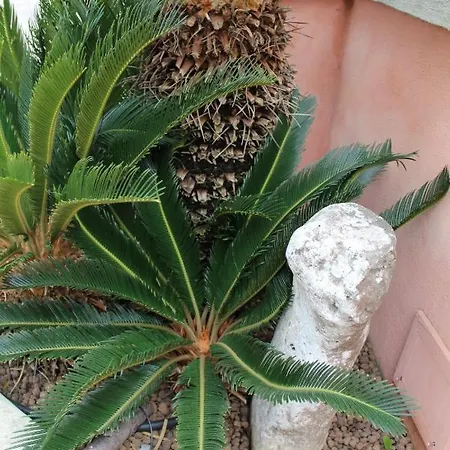 Oda ve Kahvaltı San Vito